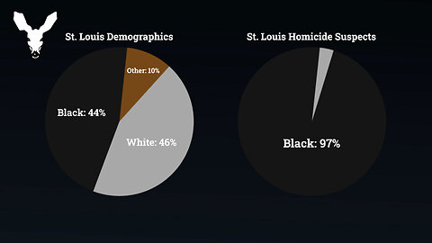 Business Owners Fleeing 44% White St. Louis | VDARE Video Bulletin