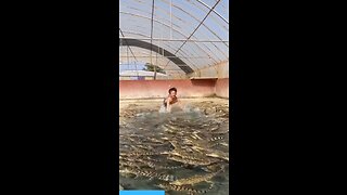 He dove into a pool of 1000 crocodiles