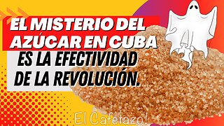 El misterio del azúcar en Cuba es la efectividad de la revolución.