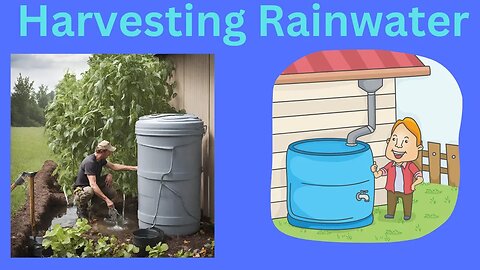 How Preppers Can Harvest & Drink Rainwater