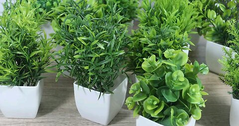 Artificial Plant Tree Window Sill Office Table Desktop Decoration Plastic Garden Fake Plant