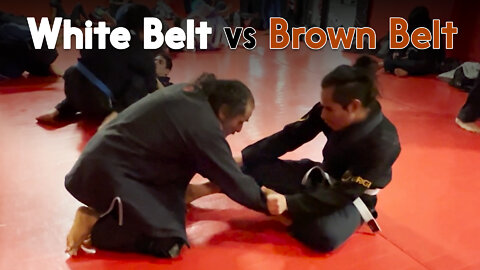 White Belt vs Brown Belt | Circadian MMA 10/03/2022 [PART 1 - El Señor Rodrigo]