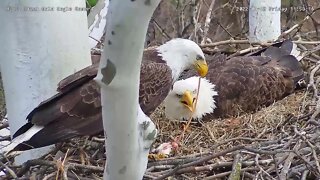 USS Eagles - Mom intercepting food