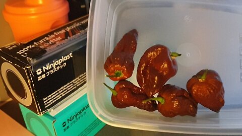 Cooking with Peahc! Making a Organic Hot Sauce with Homegrown Bhut Jolokia Chocolate Peppers.