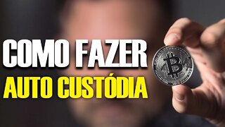 Custódia de Criptos - Como fazer e como fazer?