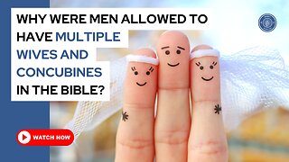 Why were men allowed to have multiple wives and concubines in the Bible?