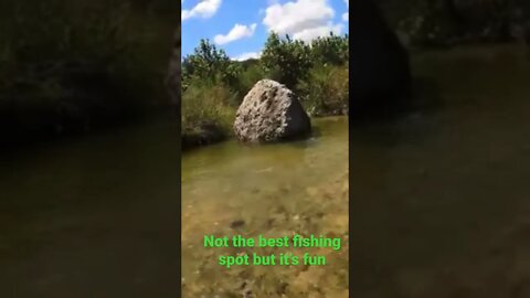 Medina River Bass on the Fly fun and Scenic Texas Hill Country