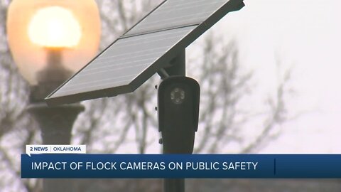 Impact of Flock Cameras on Public Safety