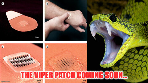 The Viper Patch Is Coming Soon...