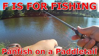 Panfish on a Paddletail