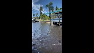 Boat Ride in the Cape Coral Canals