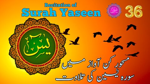 Recitation of Surah Yaseen | Yasin | Ya-sin Quran Chapter 36