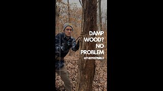 Efficient Firewood Collection in Wet Conditions: 2 Proven Survival Techniques