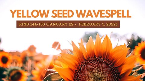 Yellow Seed Wavespell ~ KINS 144-156 (JANUARY 22 - FEBRUARY 3, 2022)