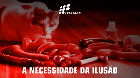 A NECESSIDADE DA ILUSÃO (RACCOONING RACCOON)