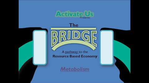 The BRIDGE | Metabolism