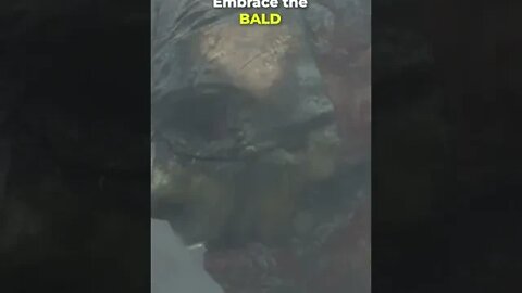 Crabfeeder: Embrace the BALD!! | Game of Thrones: House of the Dragon