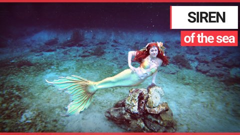 Women with autoimmune disease became a full-time MERMAID