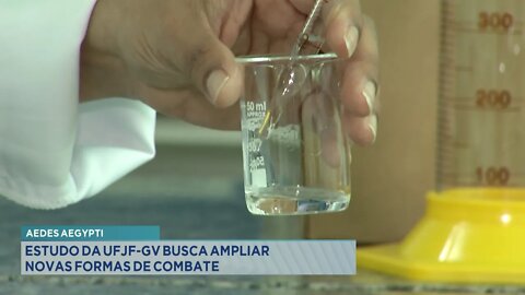 Aedes Aegypti: Estudo da UFJF-GV busca ampliar novas formas de combate.