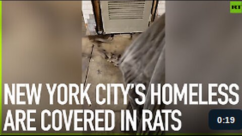 New York City’s homeless are covered in rats