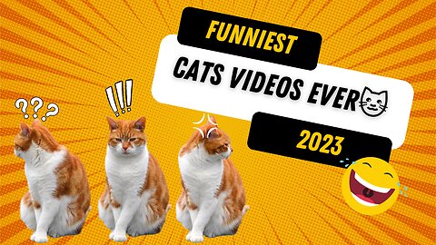 Watch Funny Cats Videos Ever 2023🐱 Funny | Funny | Funny 😍