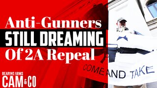 Anti-gunners still dreaming of Second Amendment's repeal