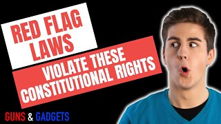 Red Flag Laws VIOLATE These CONSTITUTIONAL RIGHTS!