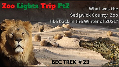 The COLDEST Day on the Trip!!! | Sedgwick County Zoo and Tanganyika Zoo Lights | BEC TREK Episode 23