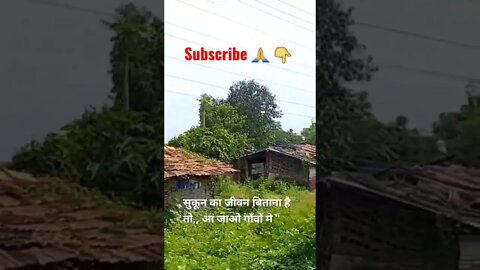 kesariya🤩🤩🤩#gaon #shorts #viralvideo #aartishaileshvlogs #trendingvideos