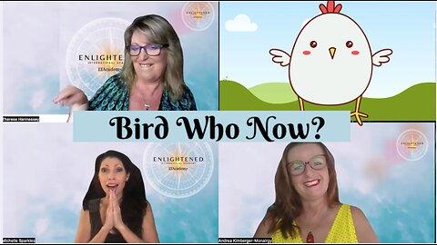 Quick Chat- Bird Who Now? Preview
