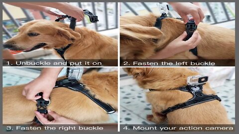 No-Pull Dog Harness/Pet Harness - Pet Vest for Small Medium Large Dogs GoPro Action Camera