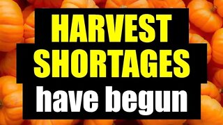 Signs of the Coming Harvest SHORTAGE!