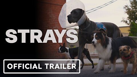 Strays Official Trailer