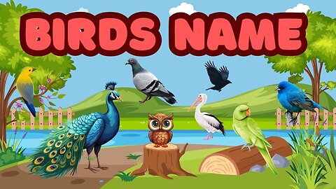 Birds Vocabulary l Birds Name In English With Pictures l English Educational Video