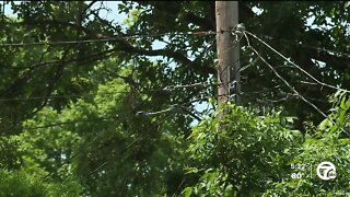 DTE preps for potential storm impact