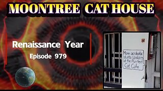 Moontree Cat House: Full Metal Ox Day 914