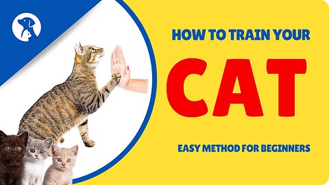 #How to train Your Cat l Cat Training Tips#🐱💫🐱💫