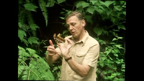 Attenborough's Life on Earth - 04 - The Swarming Hordes- 1979
