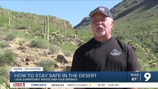 After several animal attacks in Tucson, local animal experts give safety tips