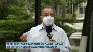 Treinamento para identificação de larvas do gênero AEDES realizado em Itaobim