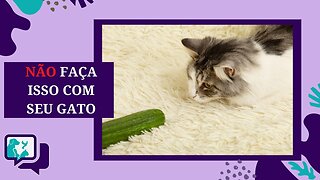 GATO E PEPINO - Motivos que os Gatos se Assustam com os Pepinos