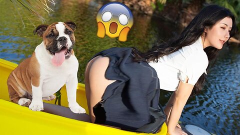 Funniest Dogs and Cats 🐶😻 Best Funniest Animal Videos 2023 🤣 #10