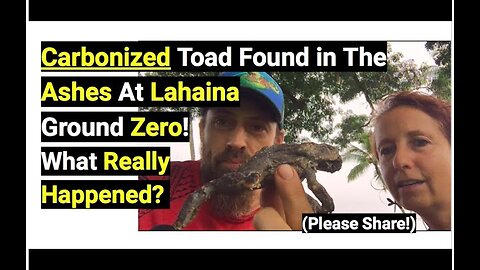 Charred Toad Found in The Ashes At Lahaina Ground Zero! What Really Happened?