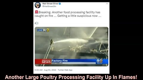 Another Large Poultry Processing Facility Up In Flames! (Video)