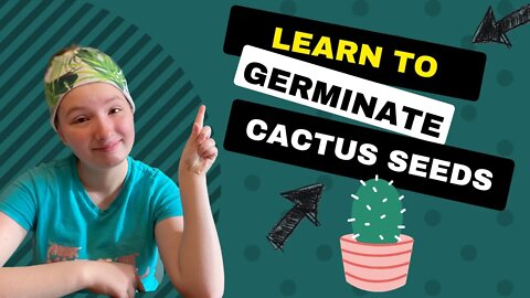 How to Germinate Cactus Seeds