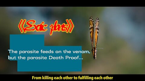 Exotic plants: the parasite feeds on venom, but the parasite Death Proof...