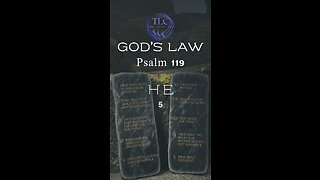 GOD'S LAW - Psalm 119 - 5 - Living the Lord's way #shorts