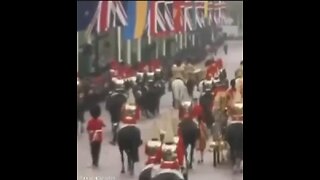 Dancing horse at the kings procession