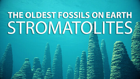 STROMATOLITES: Discovering the Oldest Fossils on Earth