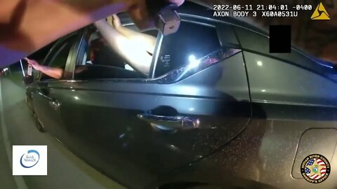 (MUST WATCH) Florida Police Shoot Convicted Felon During Traffic Stop